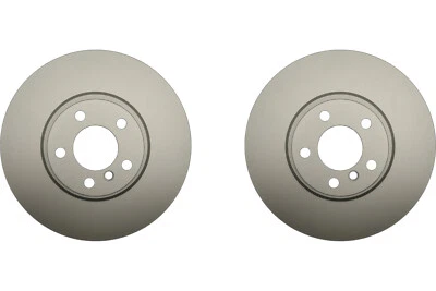 Par delantero de rotor de freno de disco Raybestos para BMW X6 2008-2010 (60298) Foto 1 de 4