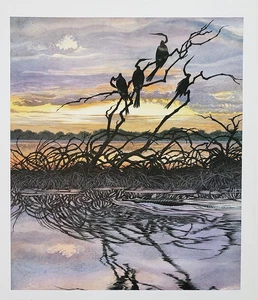 Michael Warren Bookplate – Anhingas – Vintage Bird Art Print - Picture 1 of 2
