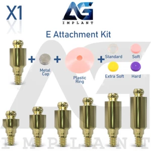 Straight E Attachment System Kit Titanium Overdenture Dental Int Hex - Picture 1 of 5