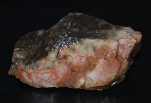 Antiguo Stock Bonito Espécimen de Exhibición Vintage Colorido Pluma Ágata Multicolor 1+ lb. - Imagen 1 de 11