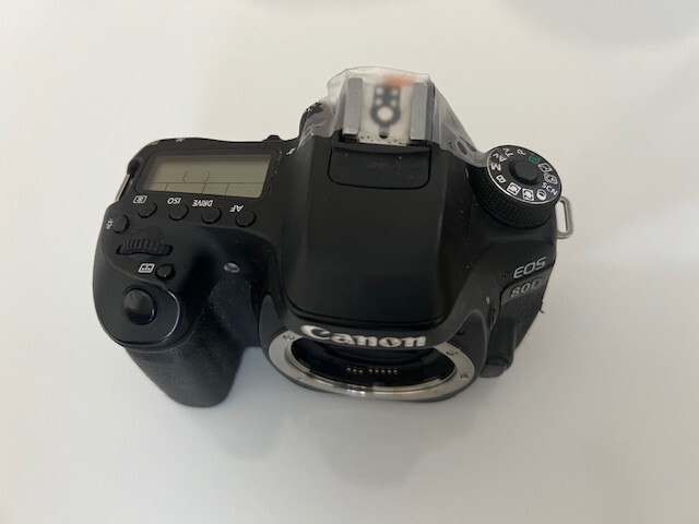 Canon EOS 80D Digital SLR Cameras for Sale - Shop New & Used Canon EOS 80D Digital SLR Cameras for Sale - Shop New & Used