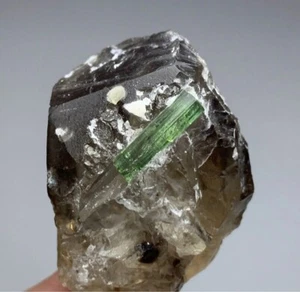 11 kt natürlicher Turmalin Kristall mit Rauchquarz Exemplar aus Afghanistan  - Bild 1 von 7