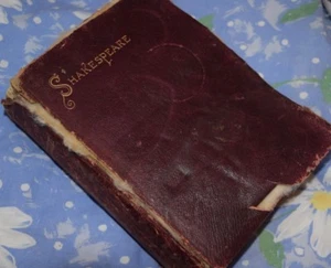 POETICAL WORKS OF WILLIAM SHAKESPEAR ANTIQUE BOOK GOLD LEAF EDGES PLATES RARE - Picture 1 of 12