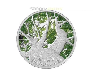 20 $ DOLLARI CANADESI MAPLE CANOPY PRIMAVERA AHORN CANADA 1 OZ ARGENTO PP 2013 - Foto 1 di 2