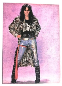 STEVE VAI / LITA FORD / THE RUNAWAYS / MAGAZINE FULL PAGE PINUP POSTER CLIPPING - Picture 1 of 2
