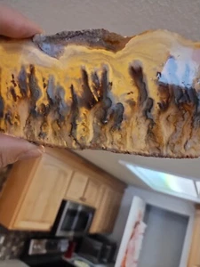 Graveyard Point Plume Agate Slab, Great Plumes, Amazing Piece 4.90 Oz, 139 Gr - Picture 1 of 10