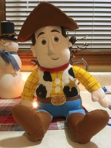 woody usado