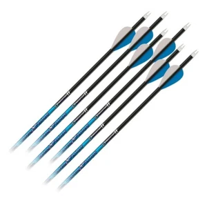 6 x Carbon Express Predator Arrows - Factory Fletched - 3050 Spine - Picture 1 of 1