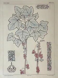 Uvas c.1910 Nuevos motivos para decoración moderna Profesor Alois Bohla Litografía - Imagen 1 de 11