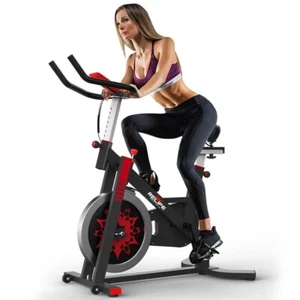 RELIFE Exercise Bike Indoor Cycling Stationary Bicycle Home Gym Cardio Workout - Picture 1 of 8