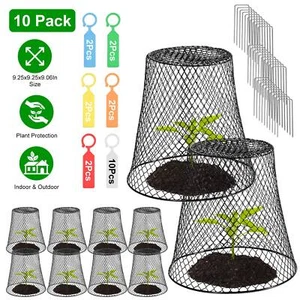 10x Chicken Wire Plant Covers Garden Cloches Chicken Wire Cloche Plant Protector - Picture 1 of 16