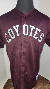 PHOENIX/ARIZONA COYOTES ULTRA RARE BASEBALL JERSEY SIZE LARGE NHL - Picture 1 of 5