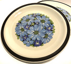 4 Designer’s Collection - Blue Shasta -Hand Decorated- Stoneware-Dinner  Plates