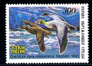 Rusia OS #1203 Estampillada sin montar o nunca montada Pato 1993 Aves FAUNA $381014 - Imagen 1 de 1