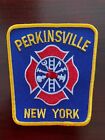 Fire Patch Perkinsville  New York