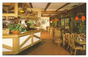 Titisee-Neustadt Baden-Württemberg Black Forest Restaurant Zur Mühle Postcard - Picture 1 of 2