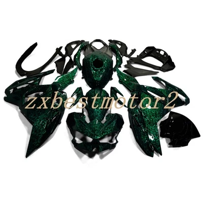 Kit de carenado camaleón y fibra de carbono para Kawasaki Ninja 500 2024-2025 con pernos Foto 1 de 4