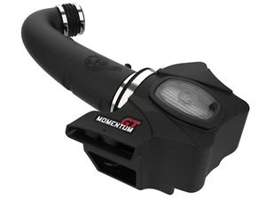 AFE Filters 51-76205-1 Momentum GT Pro DRY S Air Intake System Fits Durango - Bild 1 von 6