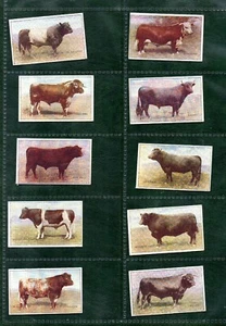 Asociado OXO de Liebig. Juego de tarjetas comerciales de cigarrillos British Cattle 1934 RARO #327 - Imagen 1 de 4
