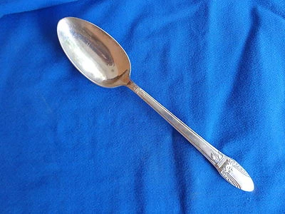 De colección 1847 Rogers FIRST LOVE Plateado Cuchara para Servir Cucharadas 1937 Plata IS Foto 1 de 4