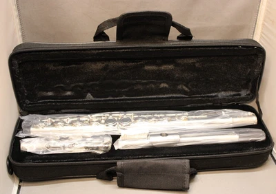 NUEVA FLAUTA TONO PLATA GLORIA CON ESTUCHE BLANDO COMO NUEVA NUNCA USADA x Foto 1 de 4