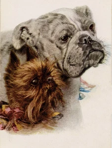 BRÜSSEL GRIFFON & BULLDOGGE CHARMANT HUND GRÜSSE NOTIZKARTE ZWEI SCHÖNE HUNDE - Bild 1 von 1