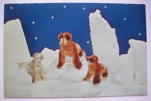 Steiff Zoo Favoriten Robbie Paddy Robbenfamilie Walross Vintage 60er Postkarte - Bild 1 von 2
