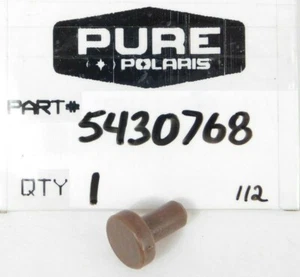 NOS Polaris SCRAMBLER TRAIL BIG BOSS CYCLONE Clutch Button Guide OEM 5430768 NEW - Bild 1 von 3