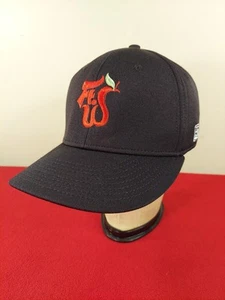 Ft Wayne Tincaps Baseball Hat Size Small Black The Game Fitted - Picture 1 of 14