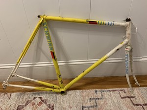 1989 Schwinn Prelude 2025