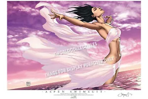 ASPEN SWIMSUIT HEROES CON ART PRINT / MICHAEL TURNER & PETER STEIGERWALD - Picture 1 of 1