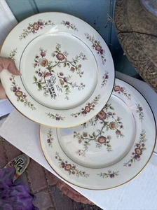 2 dinner plates Noritake ASIAN SONG - Picture 1 of 4