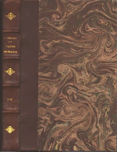 FAUNE de FRANCE Hyménoptères Vespiformes par L. BERLAND 895 Figures 1925 T.1 E.O - Picture 1 of 24