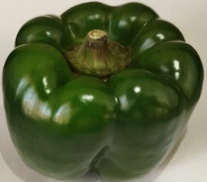100x Geen Pepper Seeds — Fresh Seeds of 2023 - Picture 1 of 6