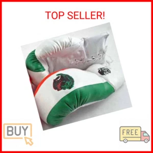 Shelter 1 Pair of Adult 16oz Boxing Gloves Mexico Flag Boxer - Picture 1 of 1