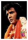 1992 The Elvis Collection Card  ALOHA SPECIAL - Elvis Presley #463