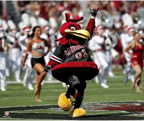 South Carolina Gamecocks Unsigned Cocky Pre-Game Photograph Cover