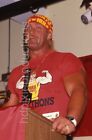 Hulk Hogan 35 mm Folie ORIGINAL 7431