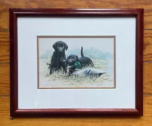 Impresión enmarcada James Killen Double Trouble Lab Puppies 16" x 13" Labrador perro pato - Imagen 1 de 6