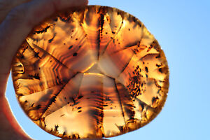 OOAK: MONTANA AGATE SLICE WITH CLASSIC PATTERNS UNPOLISHED #2