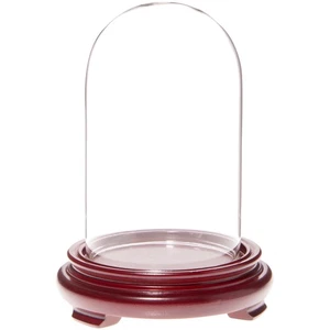 Plymor 3" x 5" Glass Display Dome Cloche (Red Wood Veneer Footed Base) - Picture 1 of 1