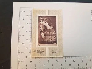 Vintage Postkarte RPPC Katze im Korb Gute Wünsche Grußkarte Poststempel 1911 - Bild 1 von 6