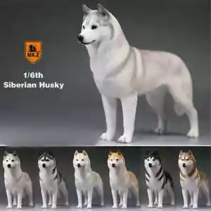 Mr.Z 1/6 Siberian Husky Pet Dog Huskie Figure Model Toys Adult Kids Xmas Gift - Picture 1 of 6