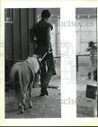 1985 Press Photo Mike Shannon with a pony at Brackenridge Stable