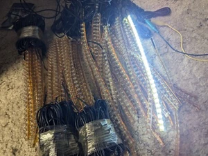 Diodo LED 55x 12 pulgadas 5 mm tiras blancas frías con cable de 60 pulgadas - Imagen 1 de 18
