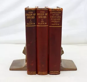 Charles DARWIN 3 Volume Lot 1896 ORIGIN OF SPECIES I II & EXPRESSION OF EMOTIONS - Foto 1 di 16