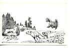 Eagle Chases Sheep Drawing-Cliff McCurdy Western Artist Signed-Vintage Postcard
