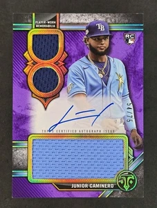 2024 Triple Threads Junior Caminero RC Amethyst 54/75 Rays Rookie Relic Auto - Picture 1 of 4