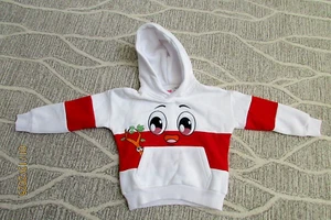 LankyBox embroidered multicolored pullover hoodie sweatshirt-canny sticky-YSM-NW - Picture 1 of 7