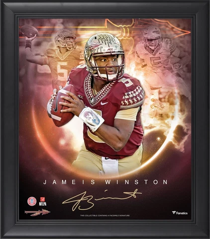 The Game Player Plaques and Collage Cover
